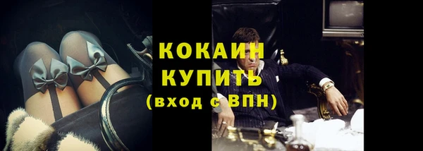индика Баксан