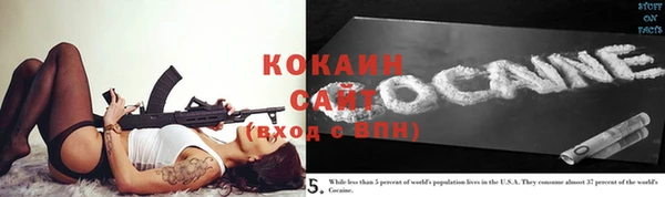 индика Баксан