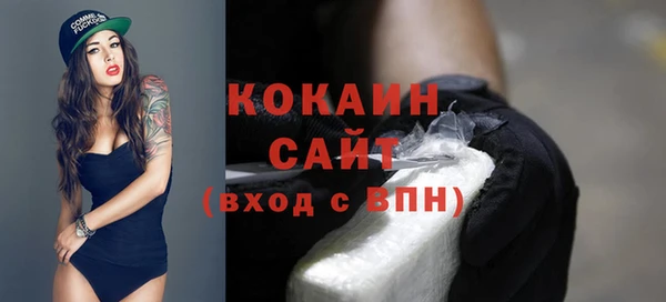 индика Баксан