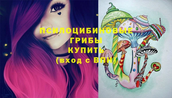 индика Баксан