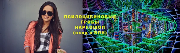 индика Баксан
